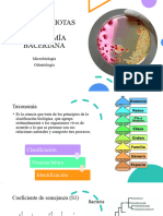 Células Procariotas - Taxonomía