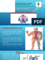 Aparato Cardiovascular