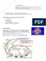 Toxocarosis