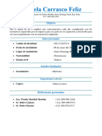 CV Mariela Carrasco Feliz PDF