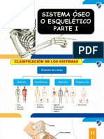 Sistema Óseo Parte I