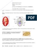 Trematodes - Paragonimosis