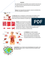 Atividade Ciências 2024 Revisão