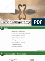 Bases Da Reprodução