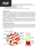 Formula Roja