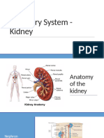 9.3 Nephron