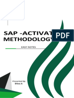 S4Hana Activate Methodology