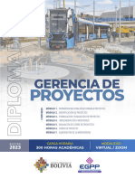 DIPTICO Gerencia de Proyectos