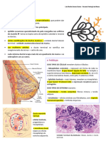 Resumo Patologia Da Mama Com Modificação - 2º Prova