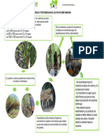 Siembra y Fertilizacion Organica de La Caña Panelera