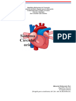 Sistema Circulatorio