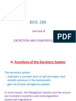 BIOL 286 Lecture 8 EXCRETION With Annotations