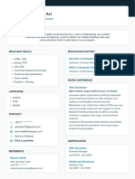 Amjad Ali Web Developer CV