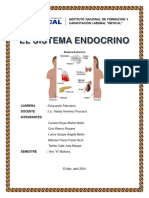 El Sistema Endocrino