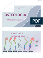 Osteologia Membro Torácico