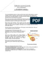 Asynchronous Task 5 - Musculoskeletal System