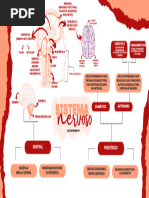 Mapa Mental Sistema Nervoso