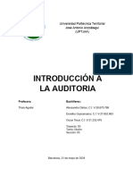 Introduccion A La Auditoria