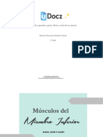 Tabla de Musculos Mi 198037 Downloadable 5878571