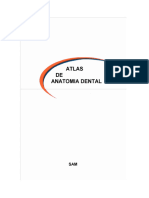 Atlas de Anatomia Dental 2024