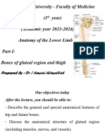 Hip Bone, Femur and Upper End of Tibia