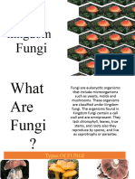 Kingdom Fungi