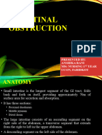 Intestinal Obstruction