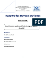 Rapport Des Travaux Pratique - 2