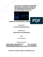 Guia de Ejercicios Cultivos Agroindustriales