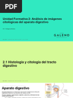 M06 AP - UF1 UD2 - Análisis de Imagenes Citologicas Del Aparato Digestivo FINAL COMPLETO