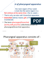 Pharyneal Apparatus