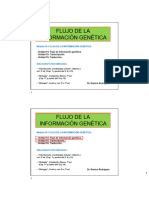 Clases 17 - Flujo de La Información Genética - Transcripción