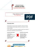 Aula 4 Metabolismo Energético 2