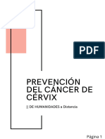 Informe Del Cancer de Cérvix - 20240410 - 172827 - 0000