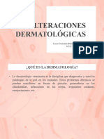 Alteraciones Dermatologicas