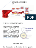 Fecundacion y Proceso de Desarrollo Presentacion-2