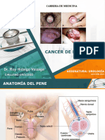 Cancer de Pene PDF