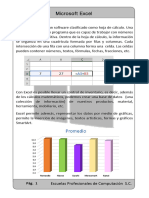 Manual Excel