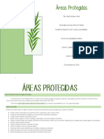 Areas Protegidas