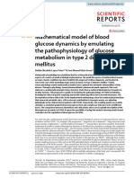 Mathematical Model of Blood Glucose Dynamics by Emulating The Pathophysiology of Glucose Metabolism in Type 2 Diabetes Mellitus