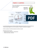 (Cours) Système Digestif