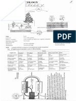 Ecology 1