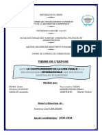 Le Fonctionnement de La Cour Penale Internationale