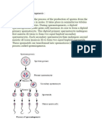 Process of Spermatogenesis, Oogenesis