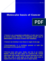 Molecular Basis of Cancer