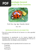 Entomologia