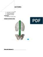 Informe de Anatomía