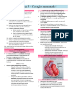 Problema 5 - Sistema Cardiovascular