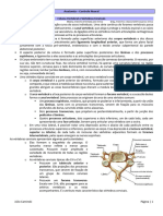 Resumo de Anatomia de Controle Neural