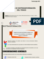 Unidad 4 Biotransformacion